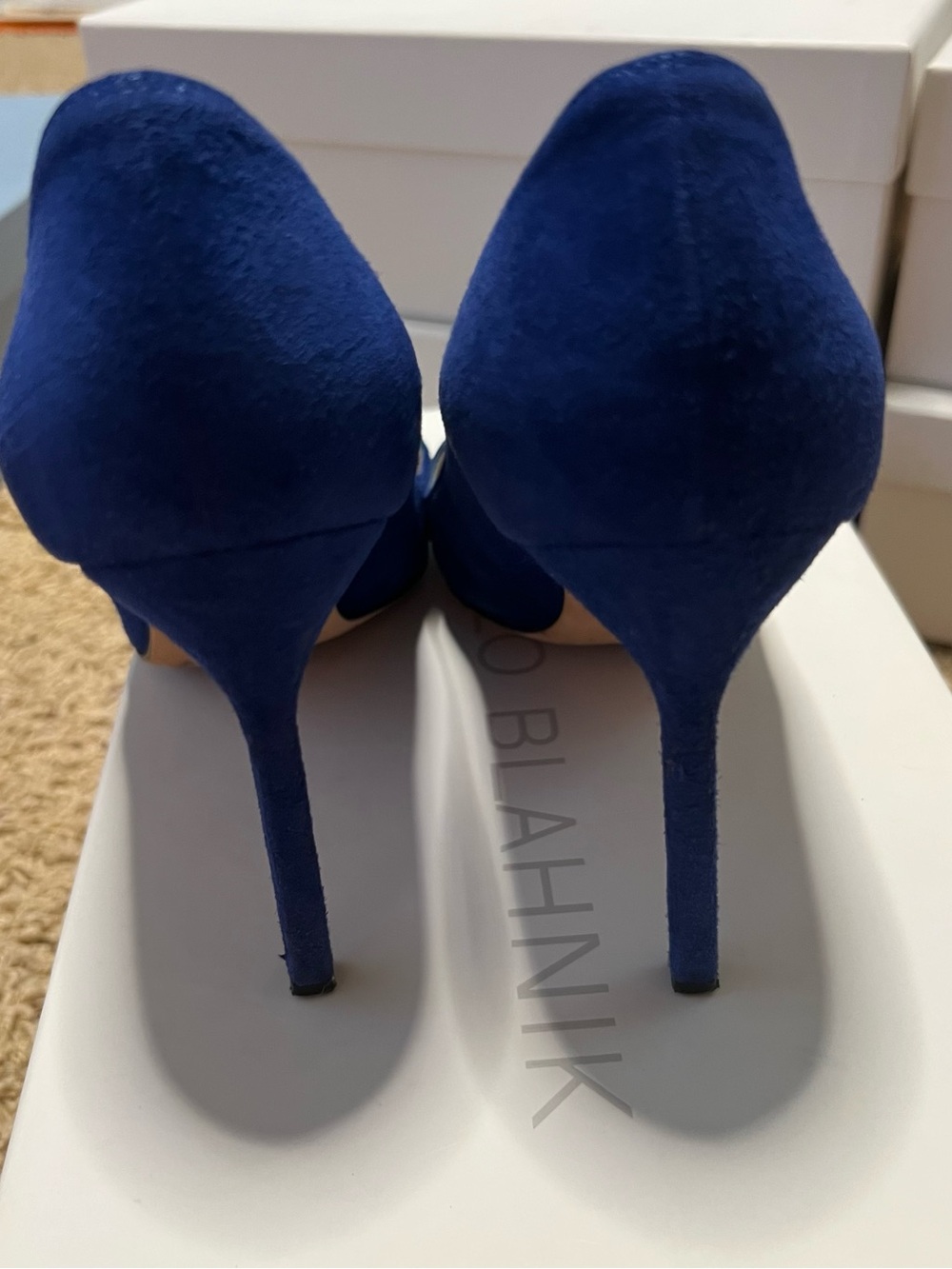 Manolo Blahnik - Vall/Camoscio Cobalt Blue Suede Pointed Toe Pumps - Picture 5 of 7